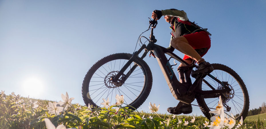 e-bikes are expensive